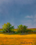 Prairie Land